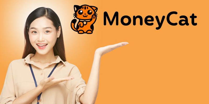 Moneycat_1